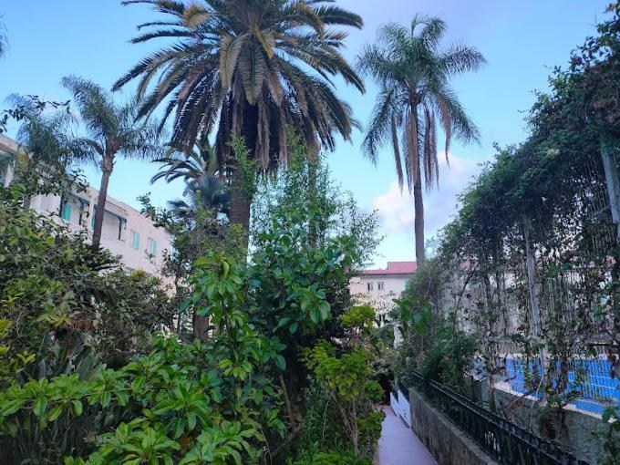 Hotel El Djazair El Mouradia Exteriér fotografie